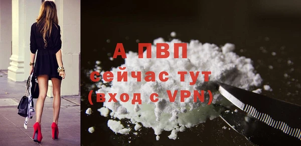 ECSTASY Магас