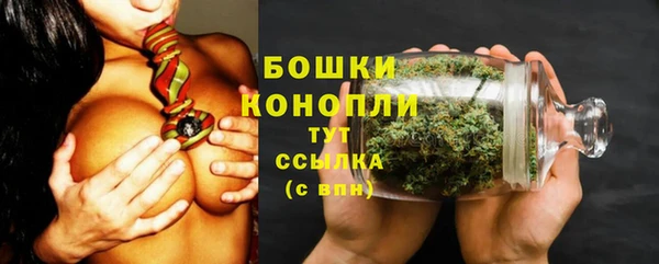 гидра Майский