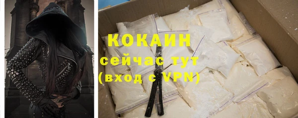 гидра Майский
