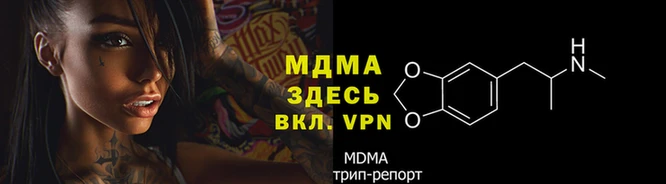 гидра Майский