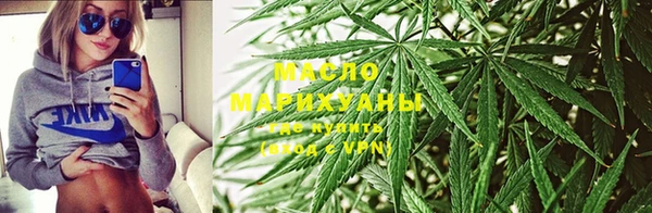 гидра Майский