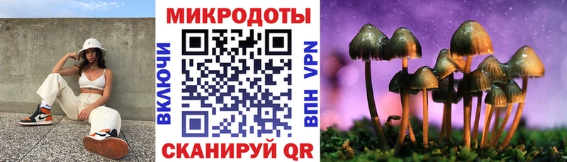 Галлюциногенные грибы Cubensis  Купить  Малая Вишера 